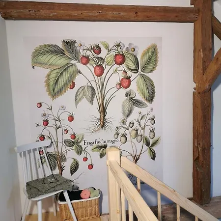 Gutshof 쉬르기스발데