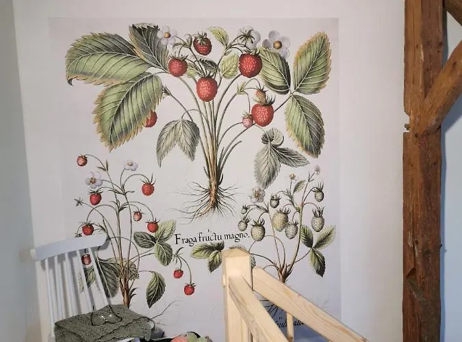 Gutshof 쉬르기스발데